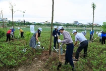 Hoạt động trồng cây hưởng ứng Tháng hành động vì môi trường 2021. 