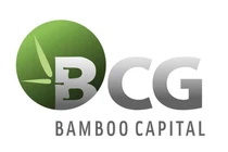 Bamboo Capital (BCG) và công ty con TCD đã mua vào 30 triệu cổ phiếu TPB