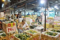  Đà Nẵng đồng ý chủ trương cho đầu tư dự án chợ đầu mối Hòa Phước