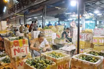  Đà Nẵng đồng ý chủ trương cho đầu tư dự án chợ đầu mối Hòa Phước