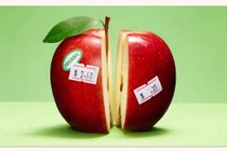 An toàn thực phẩm: cần đẩy mạnh vai trò của truyền thông khoa học