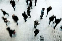 Chọn nghề và chọn bằng