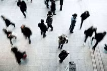 Chọn nghề và chọn bằng