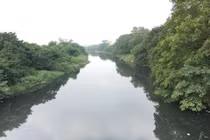 Ô nhiễm kim loại nặng tích tụ trong cá ở sông Đáy - Nhuệ