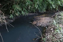 Styren hầu như không có trong dầu thải