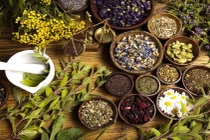 Máy xông hơi bằng nguyên liệu tự nhiên