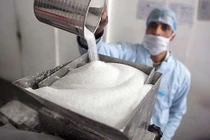 Chất ngọt không được phép dùng