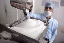 Chất ngọt không được phép dùng