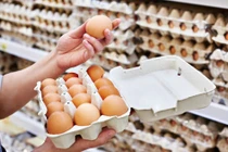 Giải mã hiện tượng trứng gà tăng giá kỷ lục, thương lái tranh nhau mua giữa tâm dịch