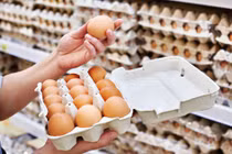 Giải mã hiện tượng trứng gà tăng giá kỷ lục, thương lái tranh nhau mua giữa tâm dịch