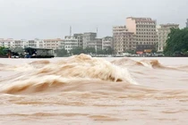 Hiện tượng nước dâng trong bão