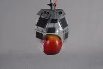 Khớp nối điện thủy lực mềm mô phỏng chân nhện cho robot