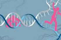 Gene quy định tuổi thọ nam thấp hơn nữ