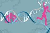 Gene quy định tuổi thọ nam thấp hơn nữ