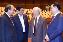 Những tỉnh thành có 17 Ủy viên Bộ Chính trị tham gia ứng cử Đại biểu Quốc hội