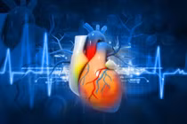 Máy tạo nhịp tim không dùng pin, thu năng lượng từ nhịp tim