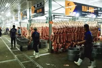 TPHCM thực hiện cấp mã code cho cơ sở tham gia Đề án quản lý, nhận diện và truy xuất nguồn gốc thịt heo, thịt gia cầm và trứng gia cầm. (Ảnh minh họa)