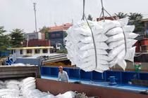 Những doanh nghiệp nào 'trúng' tờ khai xuất khẩu gạo mở lúc nửa đêm?