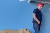 Video: “Khóc thét” vì thú cưng nhà bạn bám đuôi