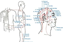 Các huyệt có tác dụng tỉnh não, an thần