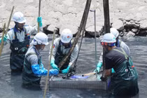 Lại um sùm việc làm sạch sông Tô Lịch bằng công nghệ Nhật Bản