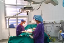 5 bệnh nhân phải bỏ tinh hoàn vì bị xoắn