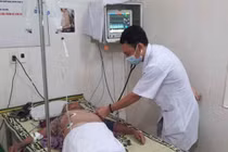 Cứu sống thần kỳ cụ bà đã ngừng tim vì bị ong vò vẽ đốt hàng chục nốt