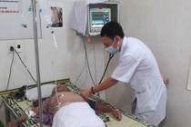 Cứu sống thần kỳ cụ bà đã ngừng tim vì bị ong vò vẽ đốt hàng chục nốt