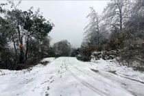 Mưa dông, rét hại bao phủ miền Bắc, khả năng cao xuất hiện băng giá.