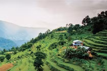 Khởi động Thập kỷ phục hồi Hệ sinh thái: Liên Hợp Quốc (LHQ) kêu gọi phục hồi 1 tỷ ha đất.