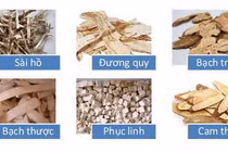 Chứng can mộc khắc tỳ thổ trong Đông y