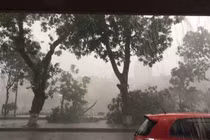 Dông thường xuất hiện vào ban ngày