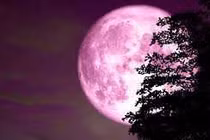 Giải mã hiện tượng trăng hồng