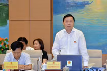 'Có 65 triệu người dùng mạng xã hội của Việt Nam'