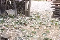 Các dạng mưa đá