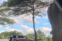 "Tóm gọn" Land Rover Defender thế hệ mới tại Việt Nam, chuẩn bị cho lễ ra mắt vào ngày mai?