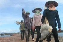 Ngạo nghễ nghề ngao