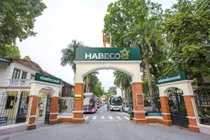 Habeco lãi gần 540 tỷ đồng trong năm 2019