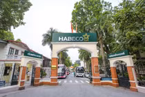 Habeco lãi gần 540 tỷ đồng trong năm 2019