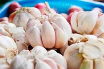 Thực phẩm bổ gan