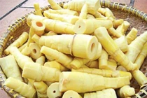 Mang bầu không ăn măng