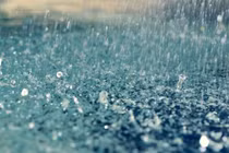 Tác hại của mưa axit