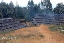 Làng 100% hộ nghèo nhưng nhà toàn bằng gỗ quý