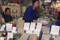 Đi chùa mua thuốc, rước họa vào thân