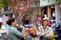 Từ ngày mai (23/1) miền Bắc chuyển nắng ấm 