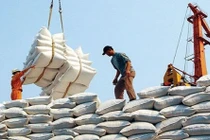  Xuất khẩu gạo trong 2 tháng đầu năm giảm