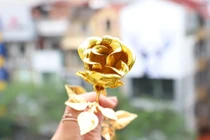 Quốc tế Phụ nữ: Hoa hồng mạ vàng 24k “đắt khách”