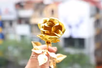 Quốc tế Phụ nữ: Hoa hồng mạ vàng 24k “đắt khách”