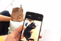 Bị kéo đuôi, chó nhà cắn xuyên sọ em bé 6 tháng tuổi