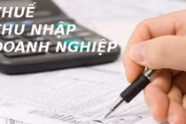 Ưu đãi thuế thu nhập doanh nghiệp đối với doanh nghiệp nhỏ và siêu nhỏ
